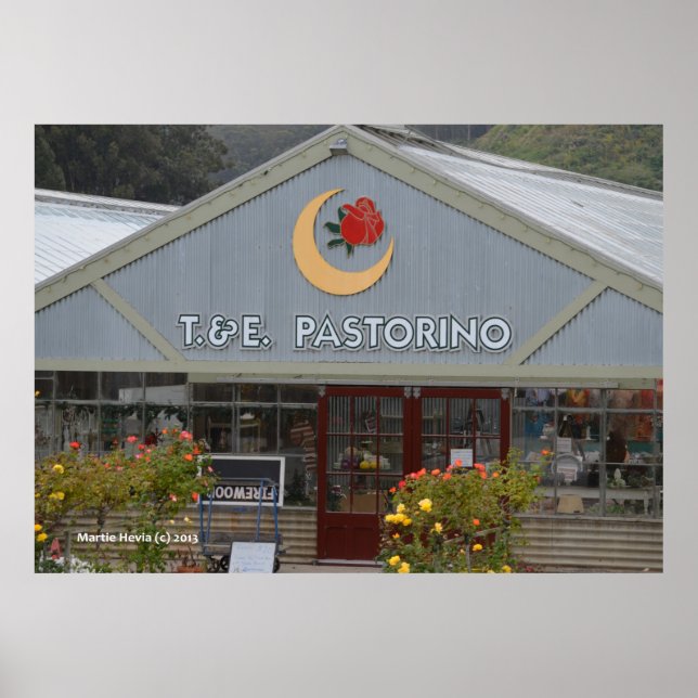 Flower Nursery Poster (Front)