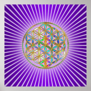 Flower of Life / Blume des Lebens - gold colourful Poster