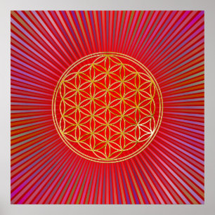 Flower of Life / Blume des Lebens - gold Poster