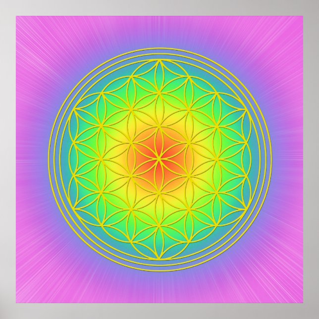 Flower of Life Chakra 1 Poster (Front)