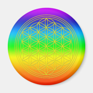 Flower of life chakra 2 magnet