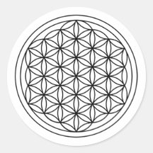 Flower of Life -