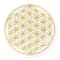 FLOWER OF LIFE - gold