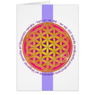 Flower Of Life / Moola Mantra   lila stripe