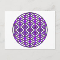 Flower of Life Purple