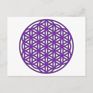 Flower of Life Purple Postcard