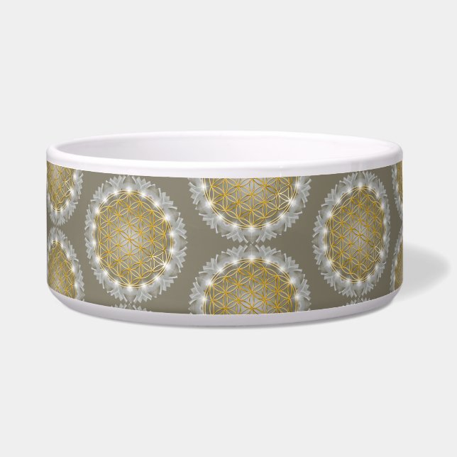 FLOWER OF LIFE - Sacred Geometrie Light 1 (Front)