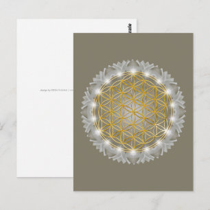 FLOWER OF LIFE - Sacred Geometrie Light 1 Postcard