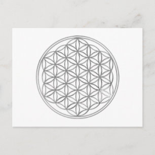 Flower Of Life silver Postcard
