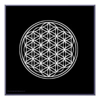 Flower of Life White on Black Glossy Poster