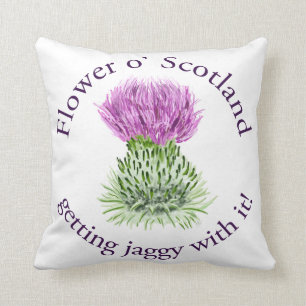 Flower of Scotland - getting jaggy with it! Cushion