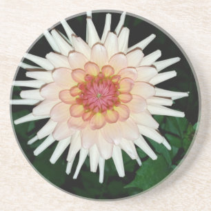 flower on a cool night coaster