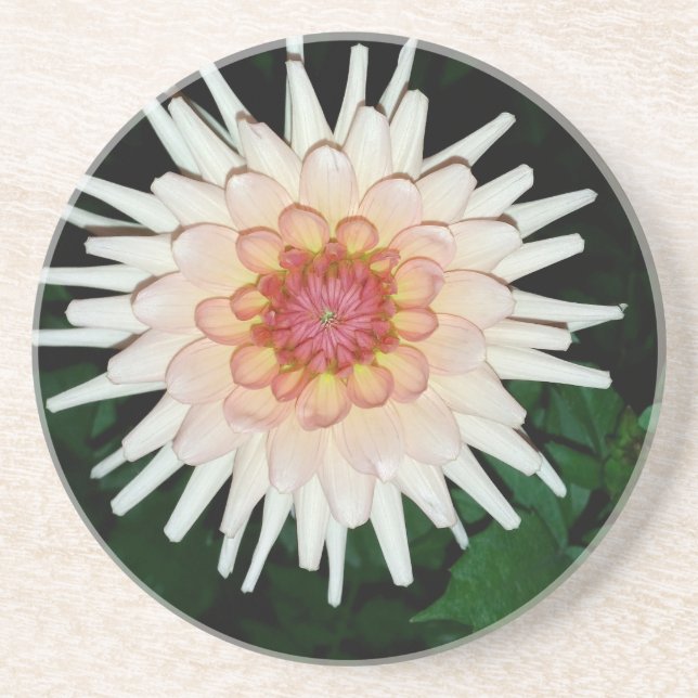flower on a cool night coaster (Front)