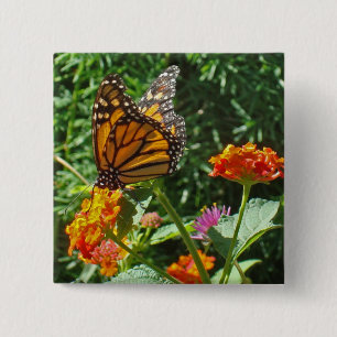 Flower Orange Monarch Butterfly Photo Nature 15 Cm Square Badge