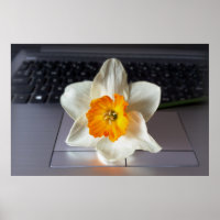 Flower over keyboard