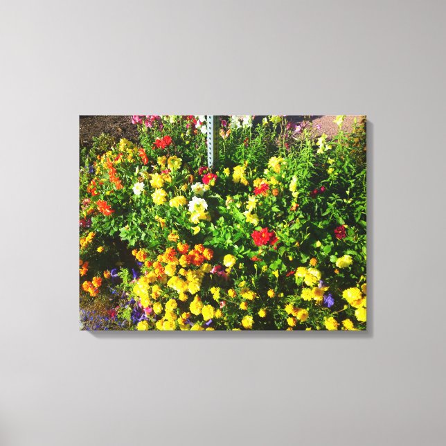 Flower Patch Canvas Print (Front)