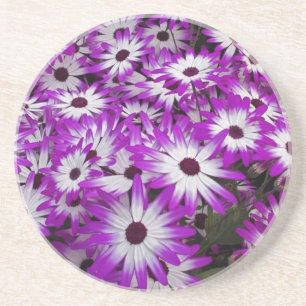 Flower pattern, Kuekenhof Gardens, Lisse, Coaster