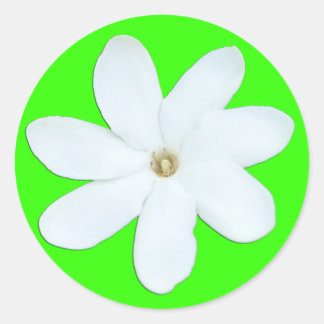 Flower Petals Sticker