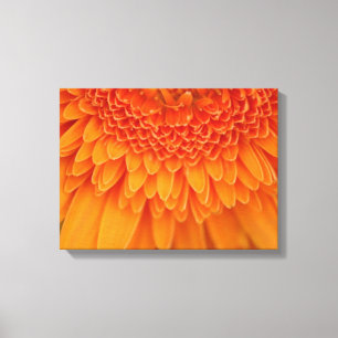 Flower Petals - Wrapped Canvas