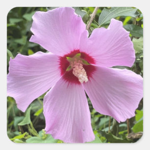 Flower Photo Square Sticker