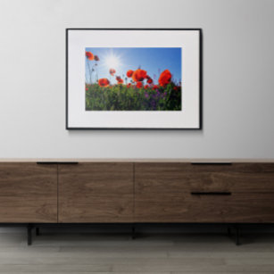 Flower Photo, Wild Rose Flower Landscape,  Poster