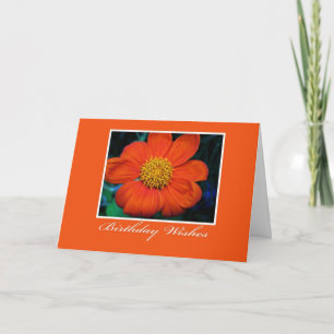 Flower Photography Birthday Wishes Card