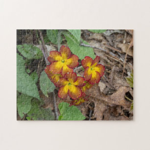 Flower Photography Jigsaw Puzzle