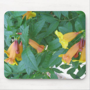 Flower Pictures Mouse Pad