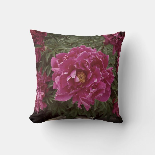 Flower Pink Peony Photo Throw Cushion 41 cm x 41 (Front)