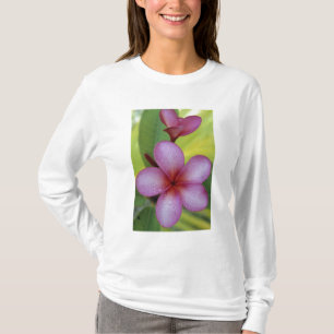 Flower, Plumeria sp.), South Pacific, Niue T-Shirt