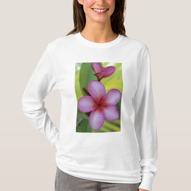 Flower, Plumeria sp.), South Pacific, Niue T-Shirt (Front)