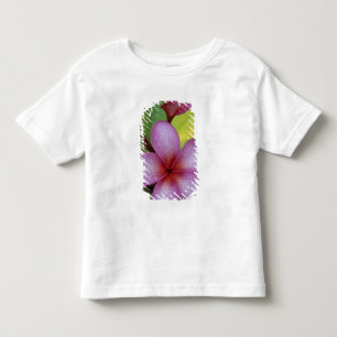 Flower, Plumeria sp.), South Pacific, Niue Toddler T-Shirt