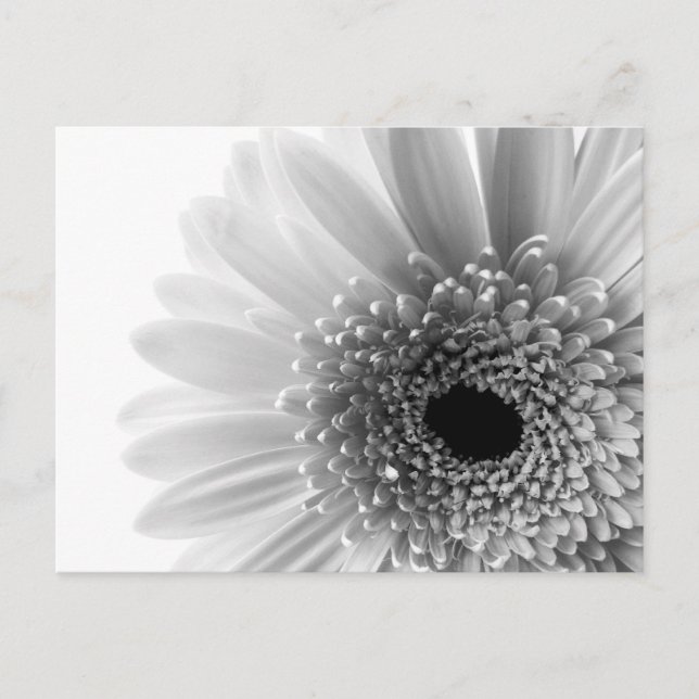 Flower Postcard (Front)