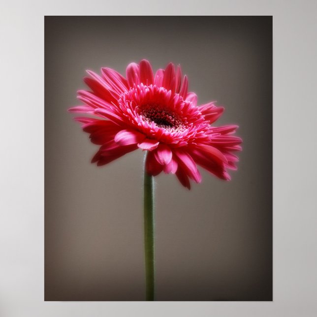 Flower Poster (Front)