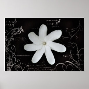 Flower Poster