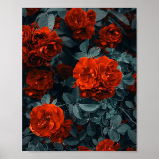 Flower Posters & Prints