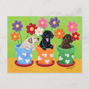 Flower Pot Labrador Puppies Postcard