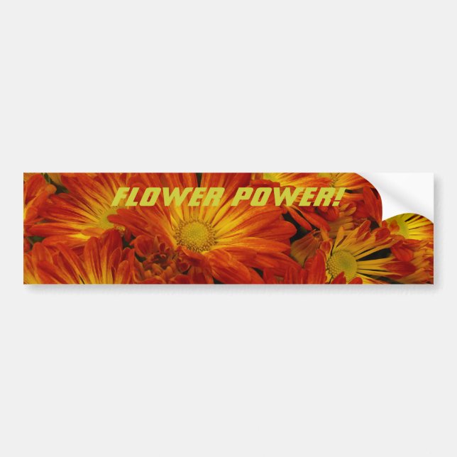 Flower Power! Bumper Sticker (Front)