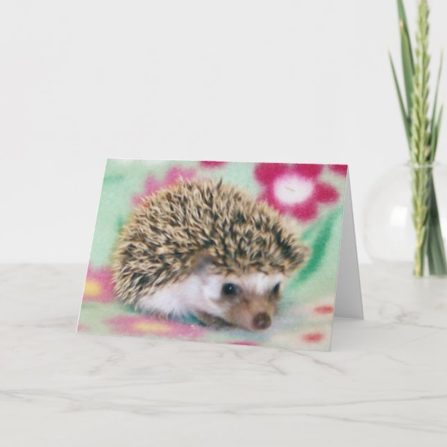 Flower Power Hedgehog Cards (Front)