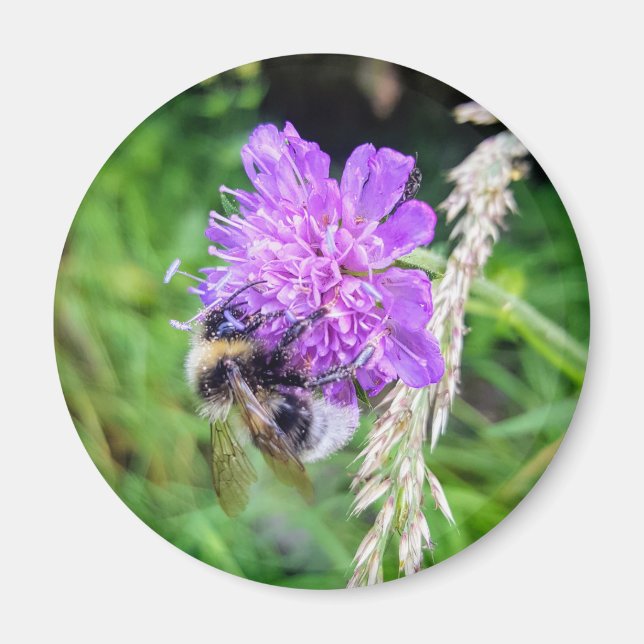 Flower Power - Round magnet with a motif (Front)