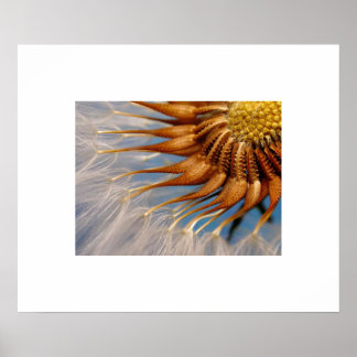 Flower Seed Poster