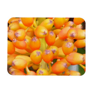 Flower Seeds 3"x4" Magnet