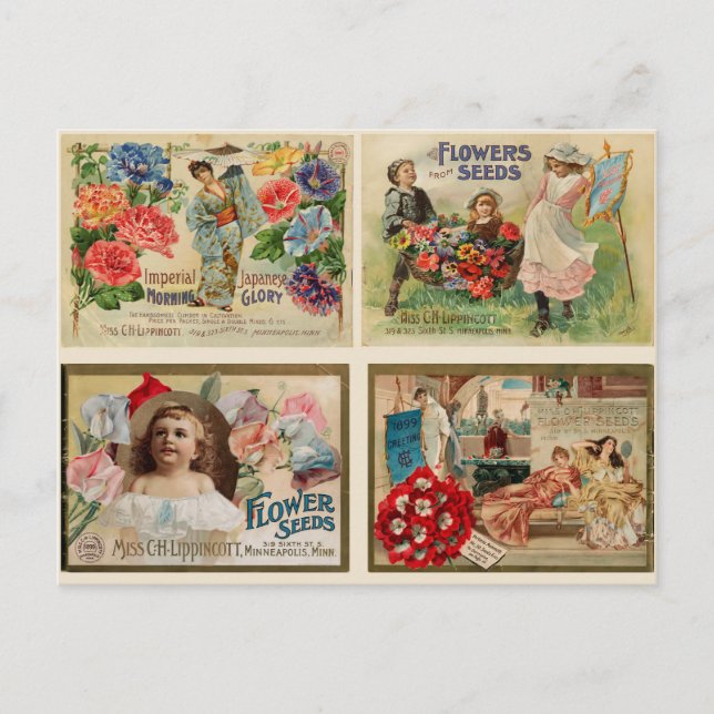 Flower Seeds Vintage Collage Postcard (Front)