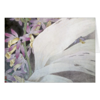 Flower Seires II- Phaiuses