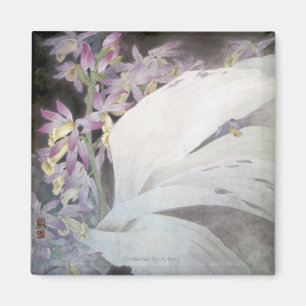Flower Seires II- Phaiuses Magnet