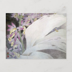 Flower Seires II- Phaiuses Postcard