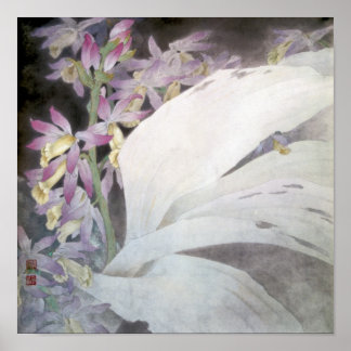 Flower Seires II- Phaiuses Poster