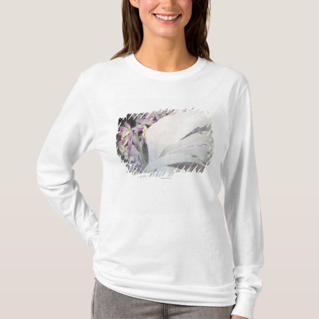 Flower Seires II- Phaiuses T-Shirt (Front)