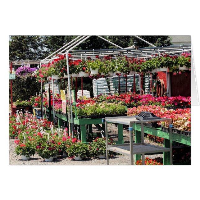 flower shop (Front Horizontal)