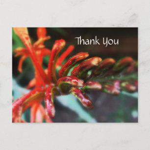 Flower Shower Postcard